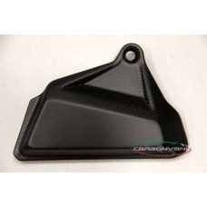 CARBONVANI - DUCATI XDIAVEL CARBON FIBRE RH ENGINE GUARD CARBONVANI - DUCATI XDIAVEL CARBON FIBRE RH ENGINE GUARD